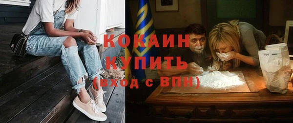 apvp Алзамай