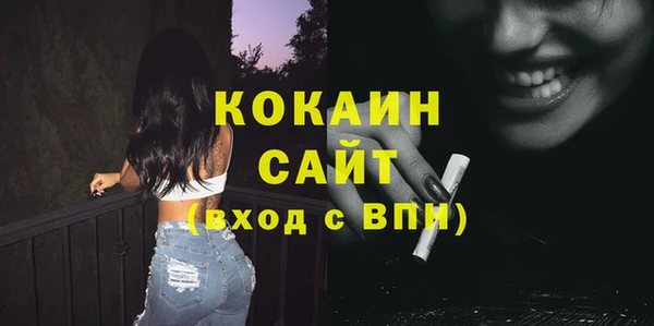 кокс Алексин