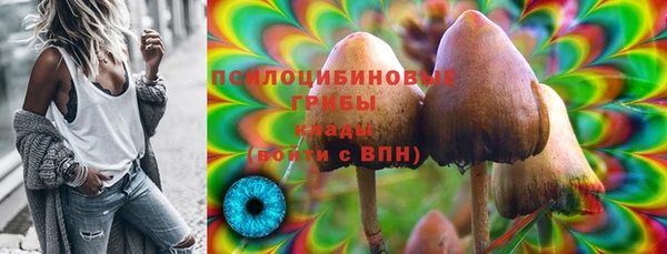 кокс Алексин