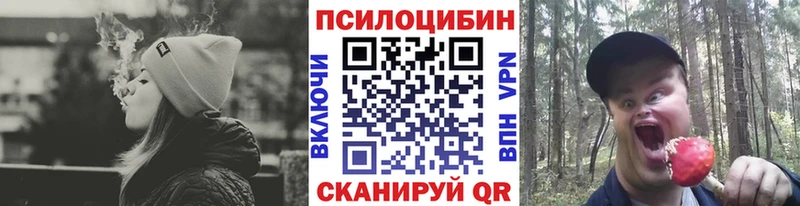 закладка  Урай  Галлюциногенные грибы мухоморы 
