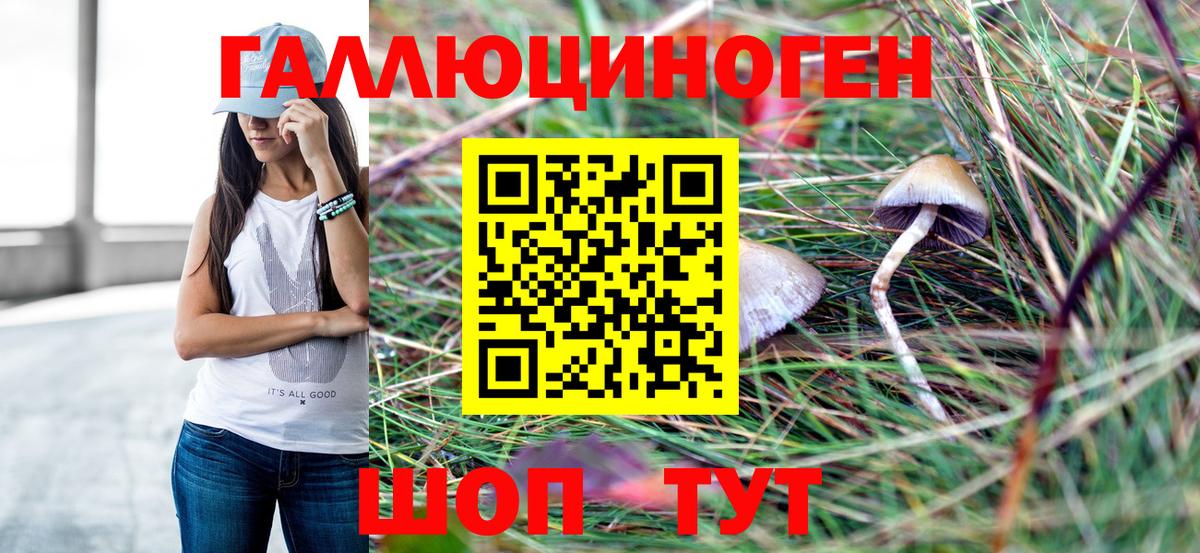 Галлюциногенные грибы мицелий  цены   Псилоцибиновые грибы Psilocybe  Урай  Вход с VPN 